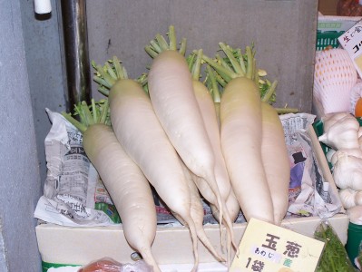 Daikon al mercato. Kyoto, estate 2007.