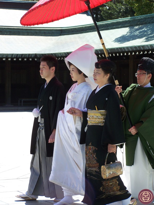 Il corteo. Tokyo, Meiji Jingu