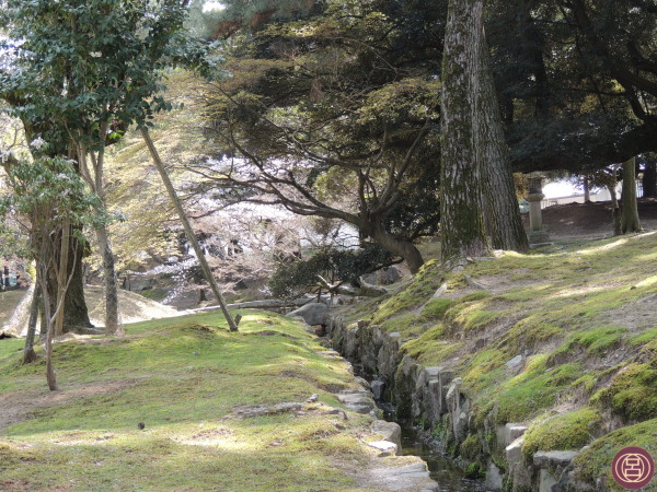 I prati di Nara a primavera. Aprile 2013.